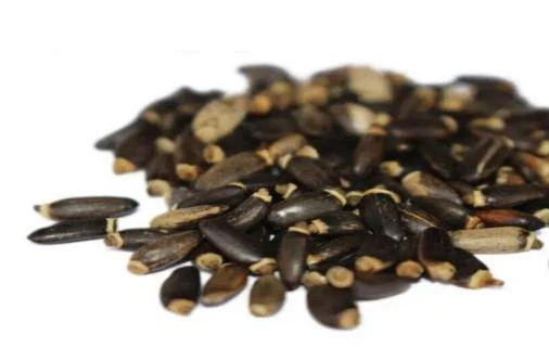 info-506-321 info-506-321