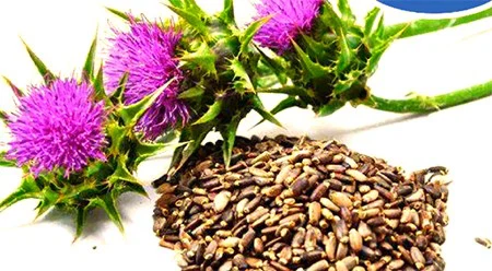 info-450-248 info-450-248